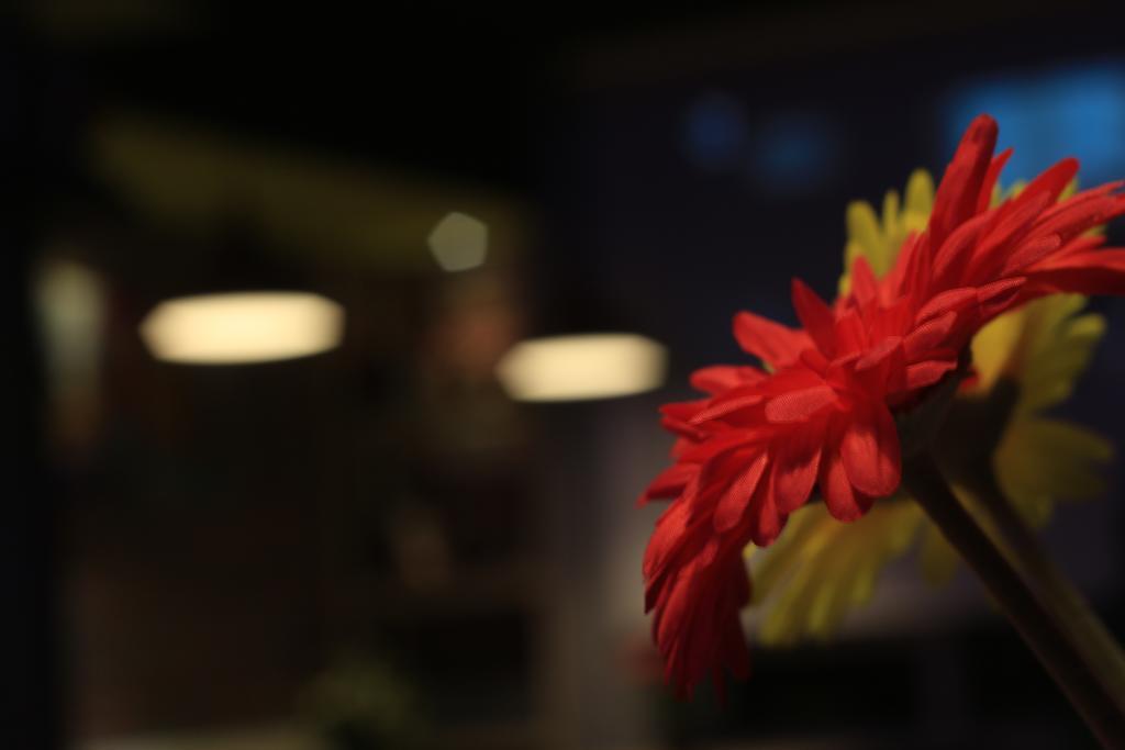 Safran Hotel Stambuł Zewnętrze zdjęcie